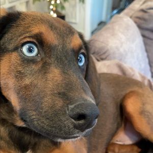 Meet your Posher, Bryan